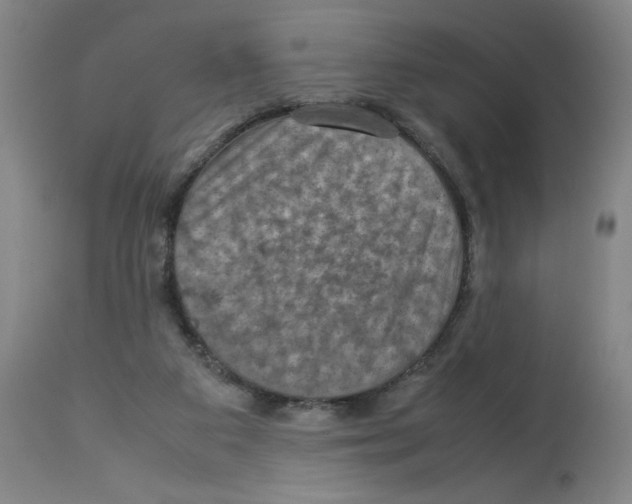 X0000112950113200910051228