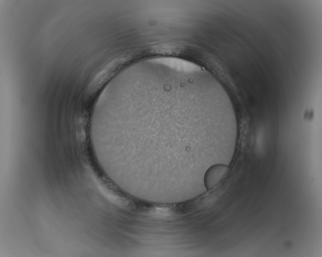 X0000112950114200910051228