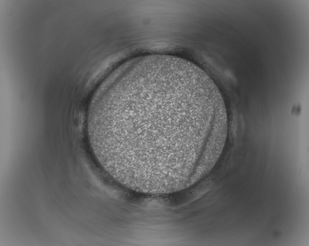 X0000112950115200910051228