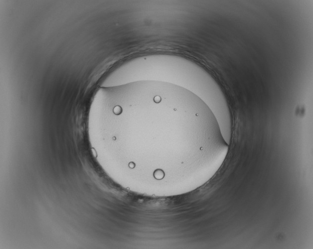 X0000112950116200910051228