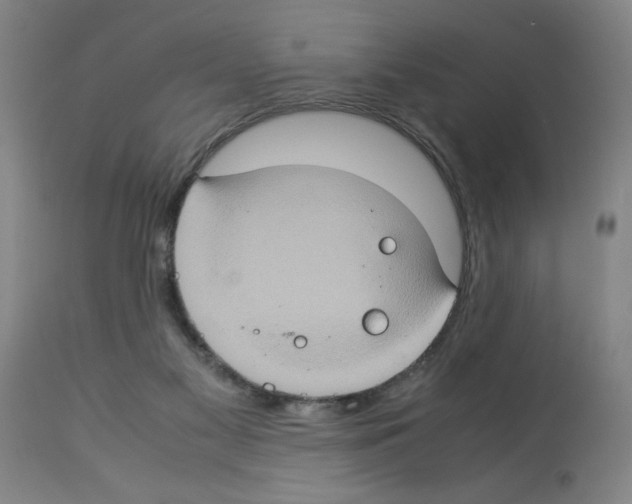 X0000112950117200910051228