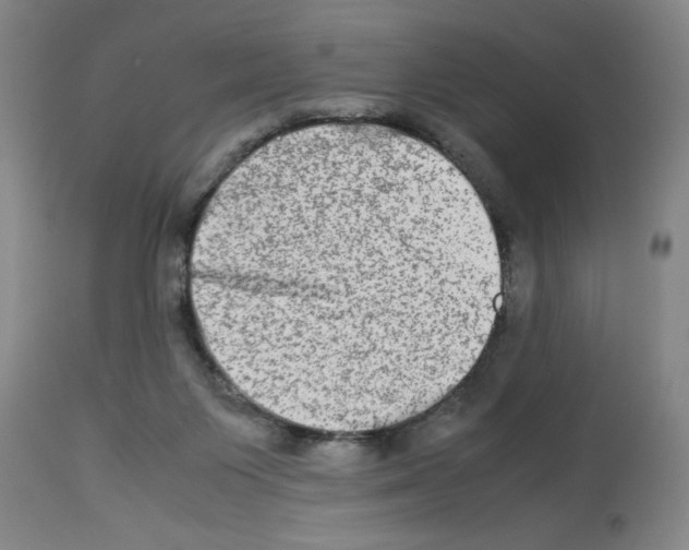 X0000112950119200910051228