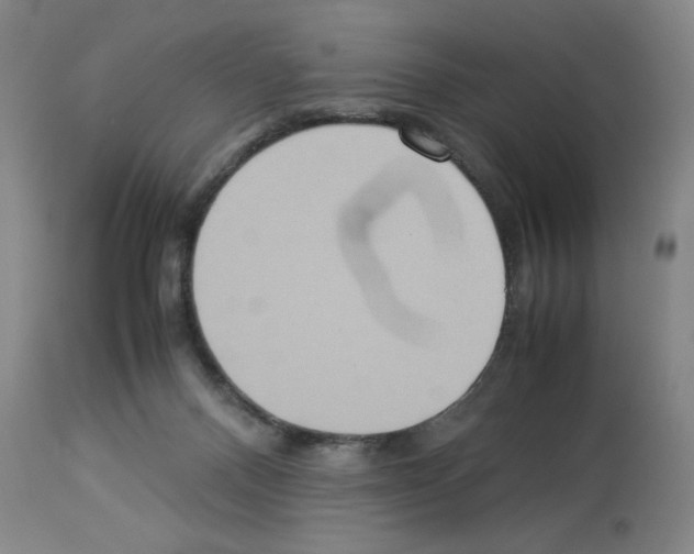 X0000112950120200910051228
