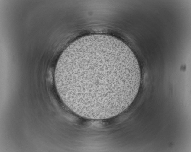 X0000112950121200910051228