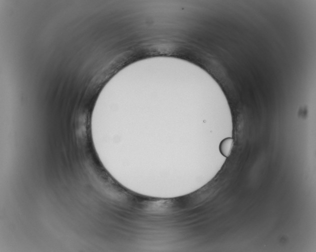 X0000112950122200910051228