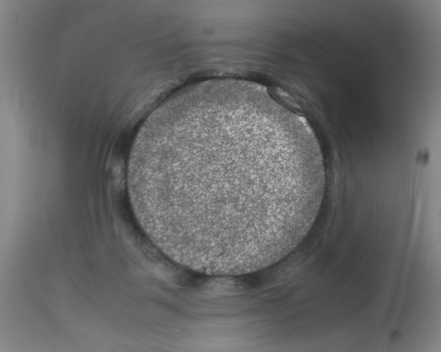 X0000112950123200910051228