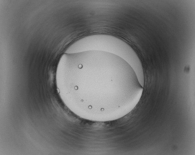 X0000112950124200910051228