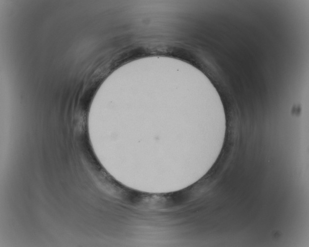 X0000112950125200910051228