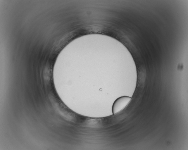 X0000112950126200910051228