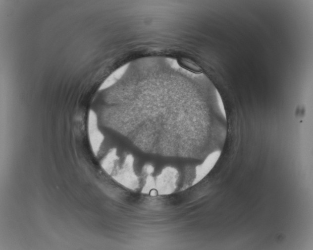 X0000112950127200910051228