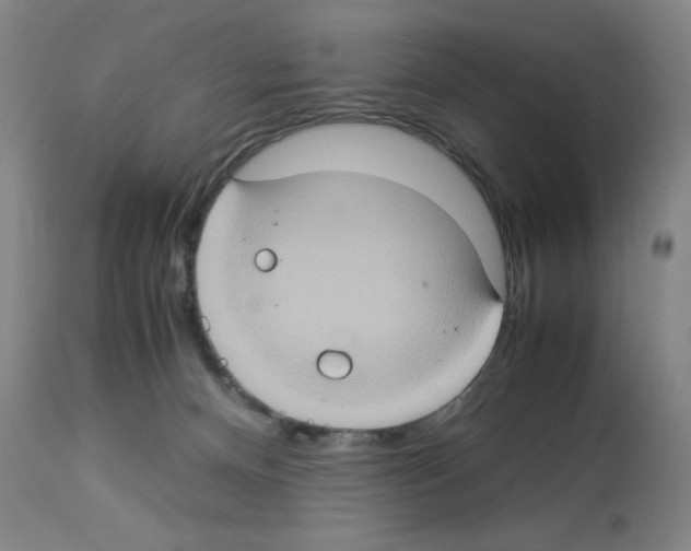 X0000112950128200910051228