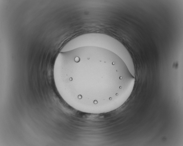 X0000112950132200910051228