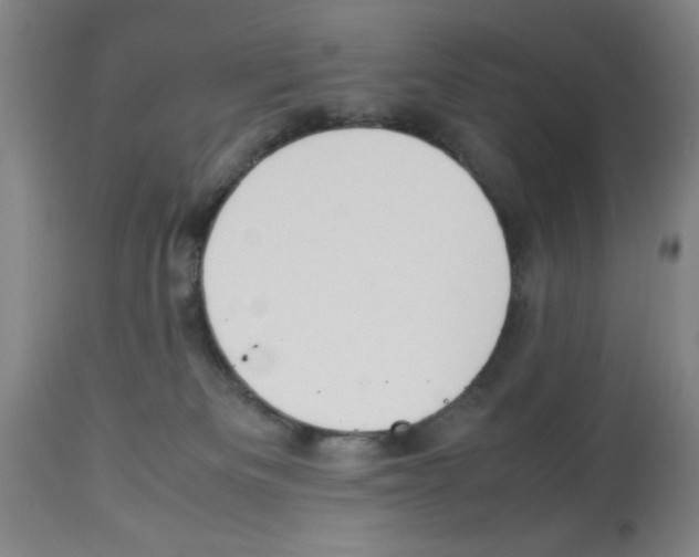 X0000112950133200910051228