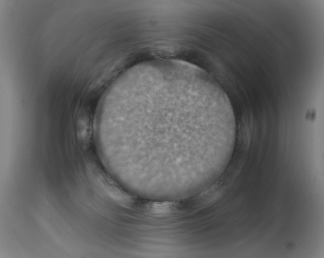 X0000112950134200910051228