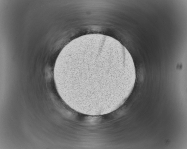 X0000112950135200910051228