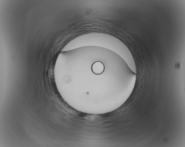 X0000112950137200910051228