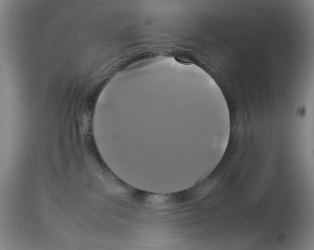 X0000112950139200910051227