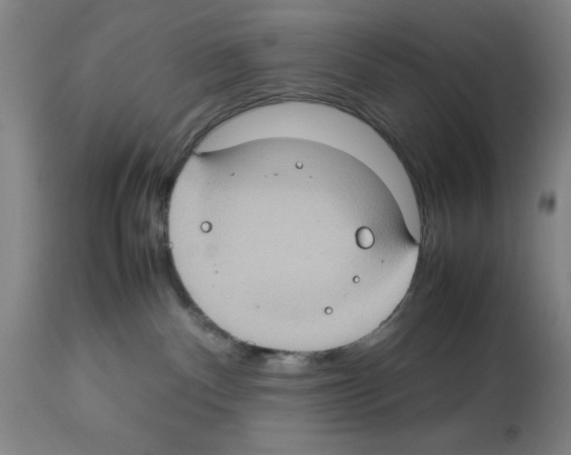 X0000112950140200910051227