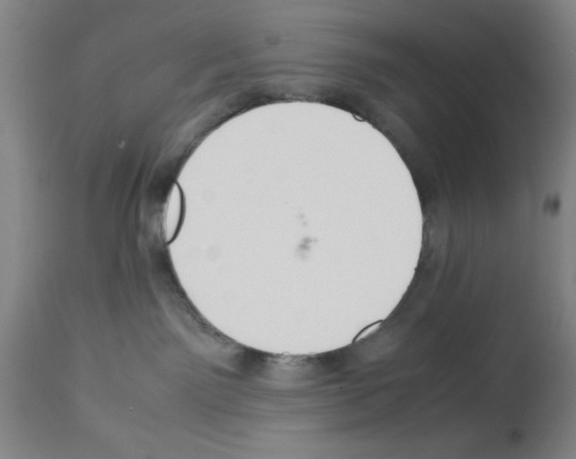 X0000112950141200910051227