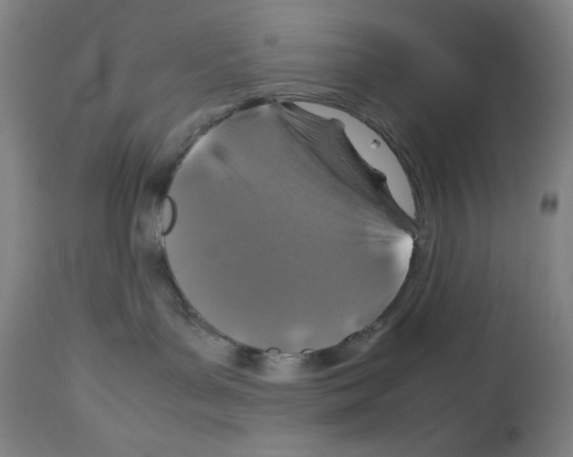 X0000112950143200910051227