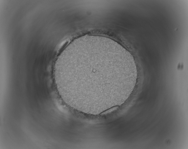 X0000112950144200910051227