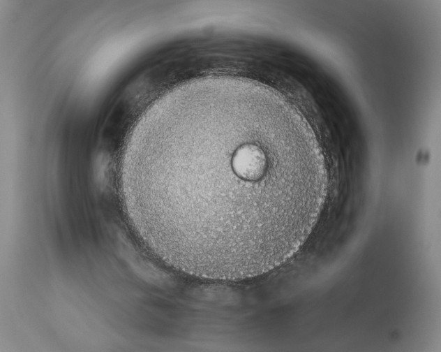 X0000112950146200910051227