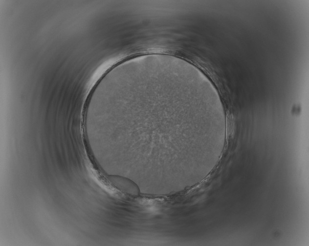 X0000112950147200910051227