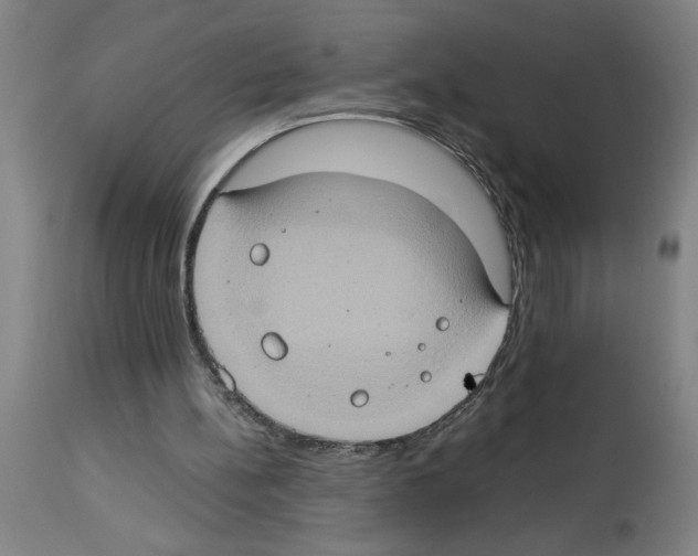 X0000112950148200910051227