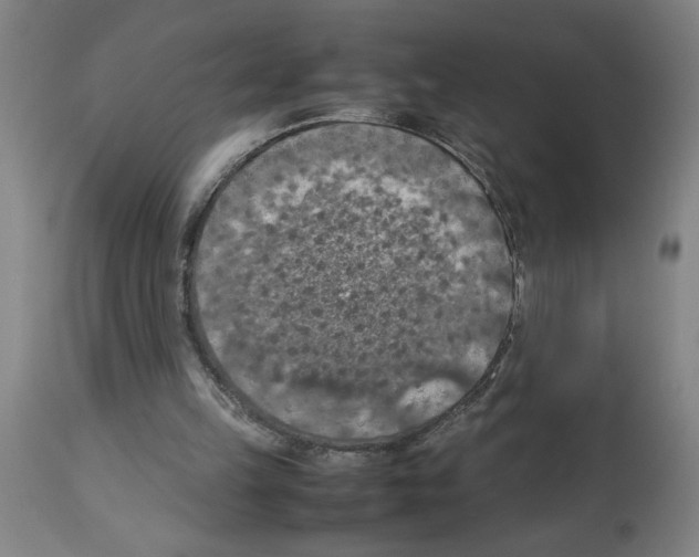 X0000112950149200910051227