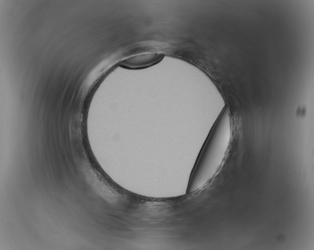 X0000112950150200910051227