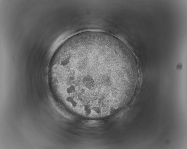 X0000112950151200910051227