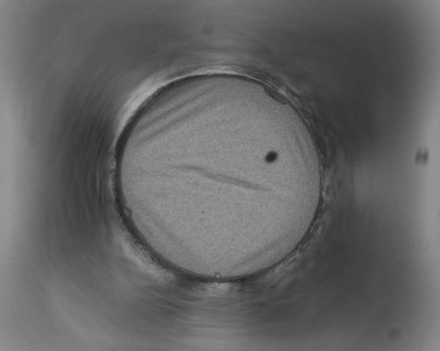 X0000112950152200910051227