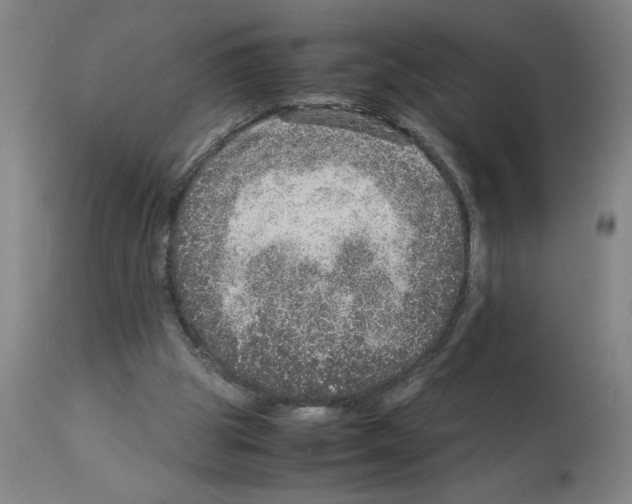 X0000112950153200910051227