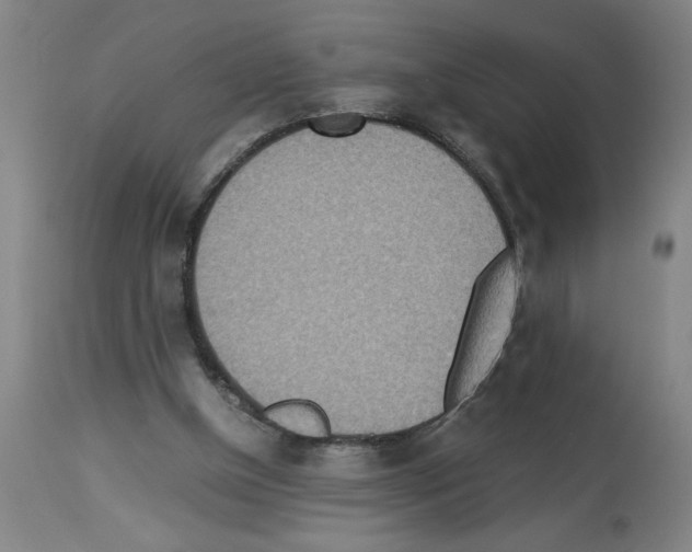 X0000112950154200910051227