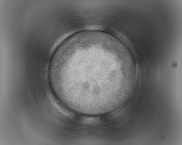 X0000112950155200910051227