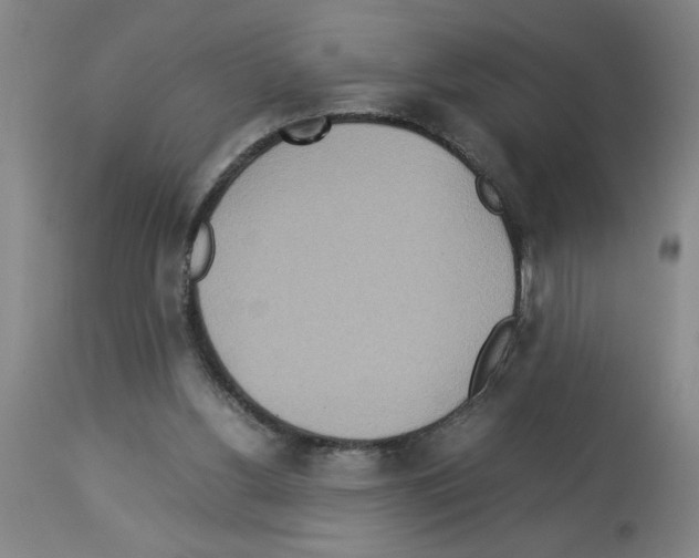 X0000112950156200910051227