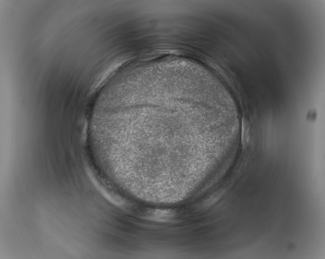 X0000112950157200910051227