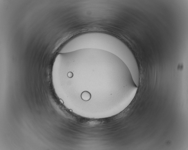 X0000112950158200910051227