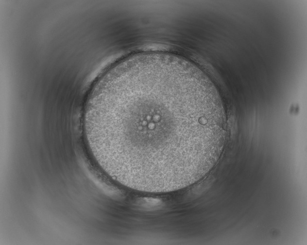 X0000112950159200910051227