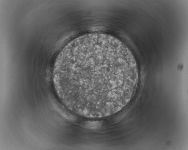 X0000112950161200910051227
