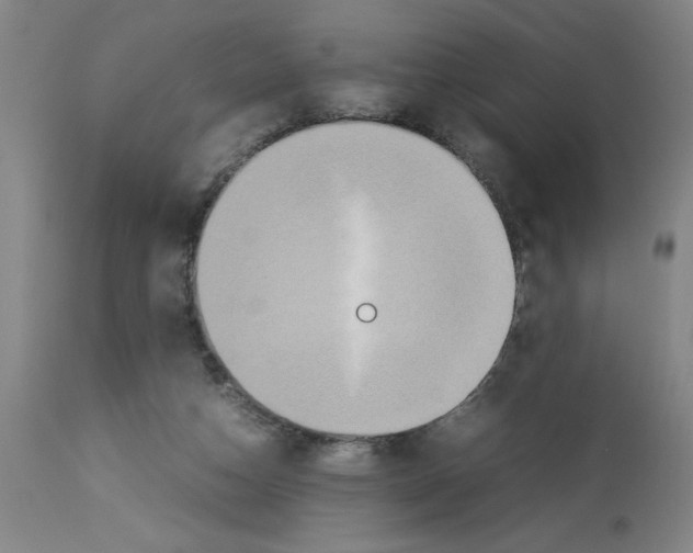 X0000112950162200910051227