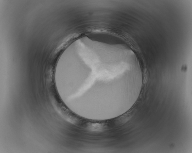 X0000112950163200910051227