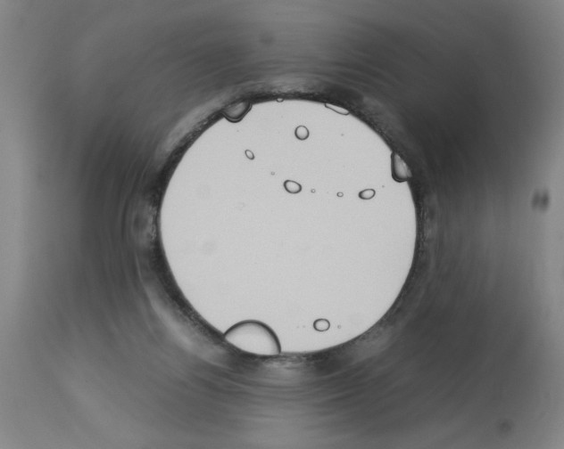 X0000112950164200910051227