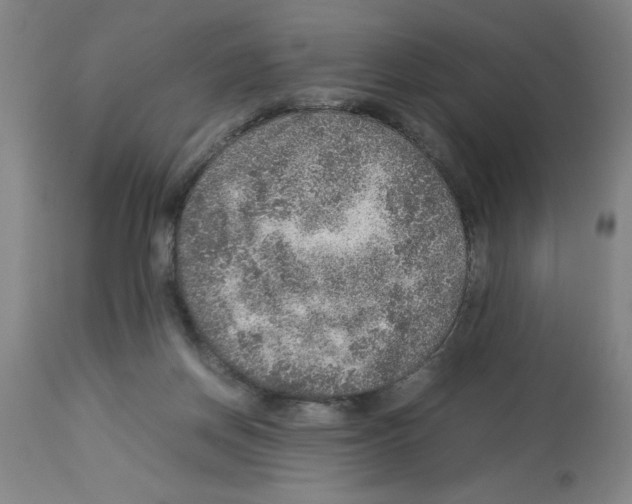 X0000112950166200910051227