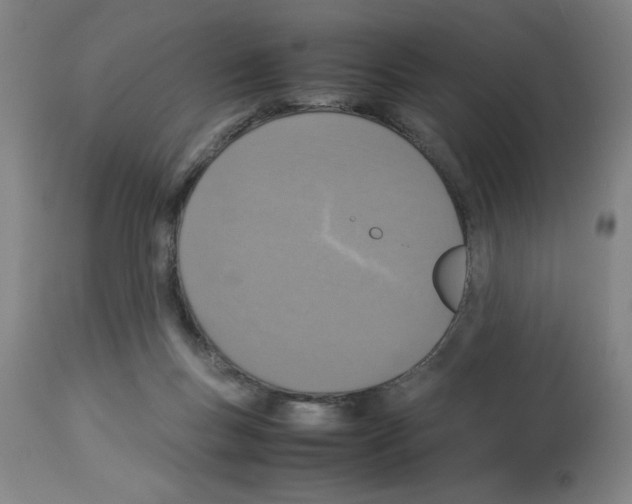 X0000112950167200910051227