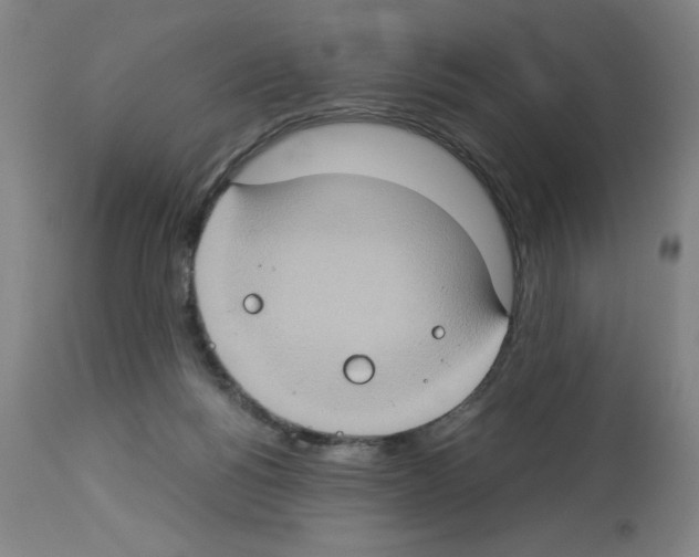 X0000112950168200910051227