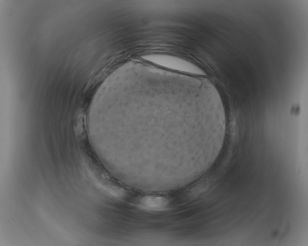 X0000112950169200910051227