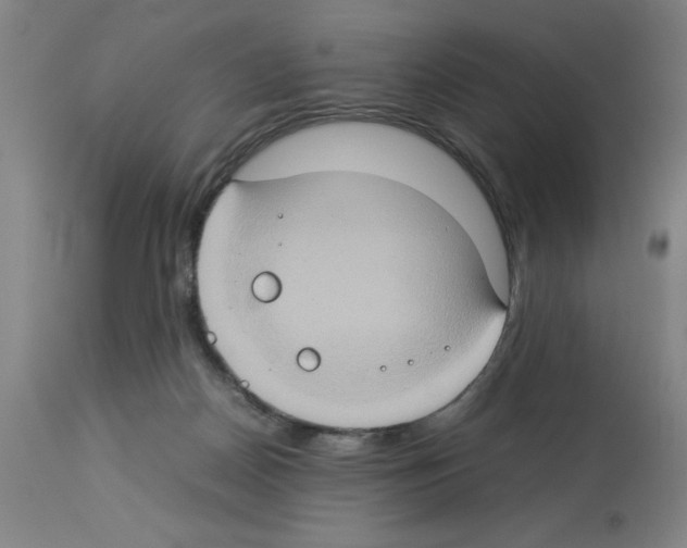X0000112950170200910051227