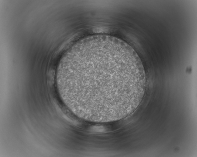 X0000112950171200910051227