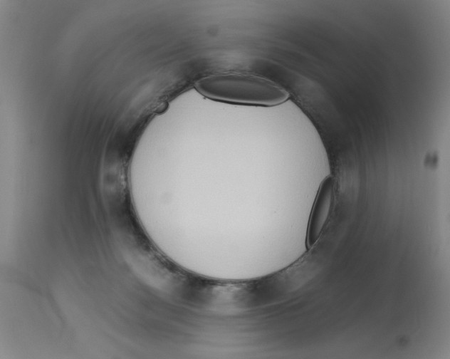 X0000112950172200910051227